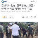 캄보디아 검찰, 한국인 BJ '고문 · 살해' 혐의로 중국인 부부 기소 이미지