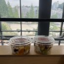 죽지도 않고 또 돌아온 개같은 생일 D-2 중증 정병인 의 삶(SSRI, SNRI 리얼후기)