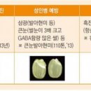 현미용