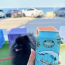 이마트24 동해어달해변점 | 바다가 보이는 편의점 이마트24 동해어달해변점