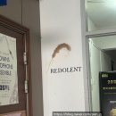 공주삼흥공인중개사사무소 | [논현] 강남구청역 브라이덜샤워 하기 좋은 레돌런트 청담 방문 솔직후기