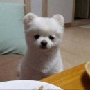 에이치아이