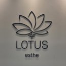강남대로 405 (2)-LED임 | 신논현피부관리 강남에스테틱 웨딩케어 내돈내산 | 로터스에스떼 방문 후기