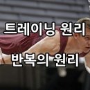 트레이닝론 이미지