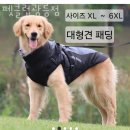 펫클럽광릉점