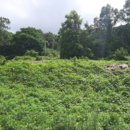 불은면-5 이미지