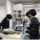 인천광역시 야생동물구조관리센터 이미지