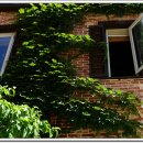 소풍가든 이미지