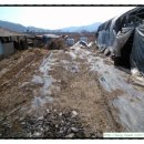 우석농장(2농장) 이미지