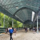 건영승마장 이미지