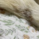 대전본동물병원 이미지