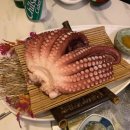 둔산중로-51 이미지