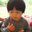 춘천숲자연휴양림 이미지