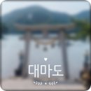 동강제일약국 | 부모님과 가기 좋은 대마도 패키지여행 후기