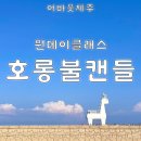 어바웃제주 이미지