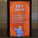 아이벨루스안경(대백프라자점) | 대구 실내 아이랑 미술체험 스노우미술관4 대구백화점 프라자점