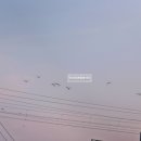 파크마린호텔 이미지