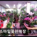 스마일꽃판매장