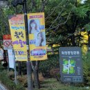 화정16공원 네이버블로그