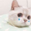 이김 이미지
