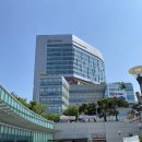 연세세브란스2호파스쿠찌