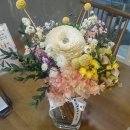 신미정아마르 이미지