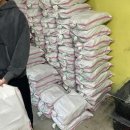 경기도 펜션ㅣ포천 클럽아일랜드 카라반 당일치기 글램핑 준비물⛰️
