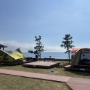 울릉도 3박4일(3) : 신비섬횟집, 카페울라, 국민여가캠핑장, 독도문방구