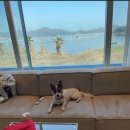 이아빌리지2 이미지