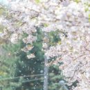 씨유 서구중앙점 이미지