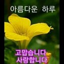 ♤나를 아름답게 하는 기도♧ 이미지