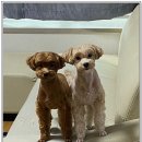 아이조아요양보호소 안양점 이미지