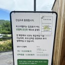카페비스타 | 남양주 대형카페 비스타밸리 후기 - 말과 함께 놀 수 있다니!