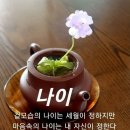 5월12일 금요일 제주사랑방 아침인사 이미지