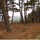 정봉섭 | 금북정맥종주기(12구간)