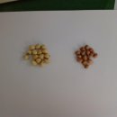 교항8리 이미지