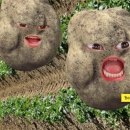 마차다방 이미지