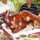 대지사슴농장 이미지