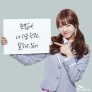 예쁜댕 이미지