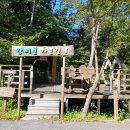 제 977차 새싹산악회 정기산행 (강씨봉) 알림 이미지