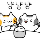 백양돌곱창구이 이미지