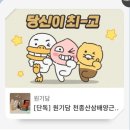 돈사마 이미지