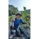 정일품농장 이미지