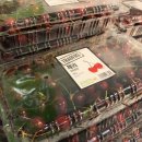 이마트트레이더스 서면점 이미지