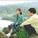 조화여인숙 Daum카페