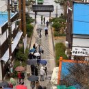 지에스(GS)25울산덕신동백 | [울산&amp;포항] 2일차(울산 소미국수, 송대말 등대, 포항 구룡포, 동백꽃 필 무렵 까멜리아, 호미곶...