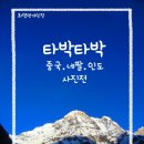 포스타
