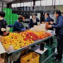 도곡농장 이미지