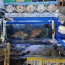 이마트24 광주신안점 | 노량진회맛집 신안상회 줄무늬전갱이에 반한 솔직한 후기