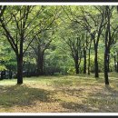 당골공원 이미지
